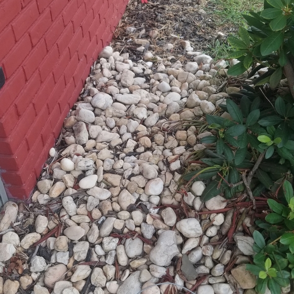 River Rocks - Picture 3 of 3